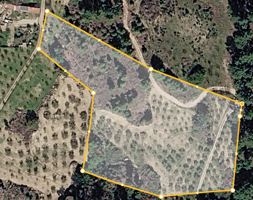 Terreno agrícola com olival e pinhal – Carrapata