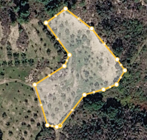 Terreno agrícola com olival e pinhal — Carrapata