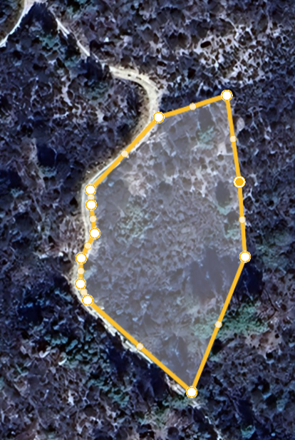 Pinhal em Meadelo Grande