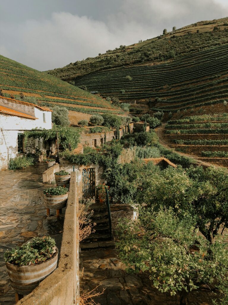 Mirandela